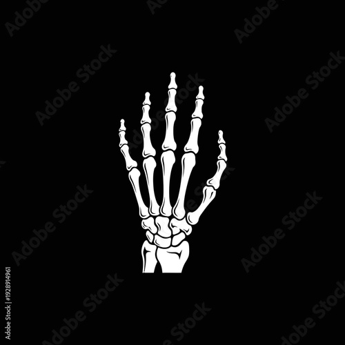 Detailed vector illustration of a human skeletal hand, showcasing anatomical bone structure and metacarpals, ideal for medical, horror, or gothic design themes