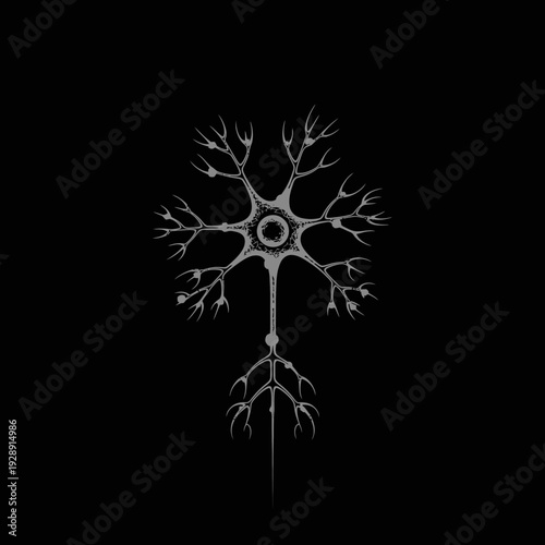 A detailed, monochrome illustration of a neuron, showcasing its intricate dendrites and axon, against a stark black background, suggesting a focus on neuroscience and biology