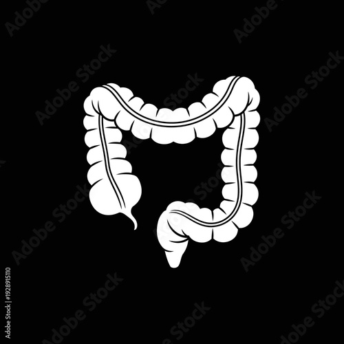 Medical illustration of the human large intestine, or colon, in a white silhouette on a black background, representing a key organ of the digestive system and human internal anatomy