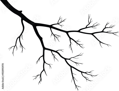Black bare tree branch silhouette isolated on white background, detailed winter botanical illustration with intricate twigs for design, decoration, and graphic projects