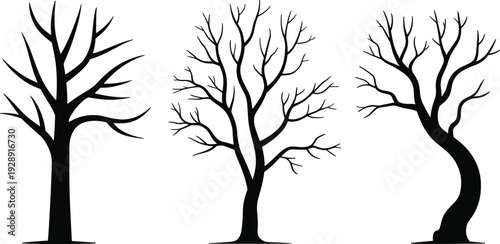 Collection of three black bare tree silhouettes isolated on white background, minimalist winter forest illustration with detailed branches for design, decoration, and graphic projects