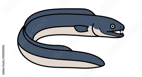 Cartoon Eel Illustration - Marine Life, Sea Creature, Underwater Animal