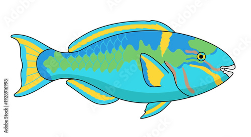 Colorful Parrotfish illustration isolated on white background, vibrant tropical marine life