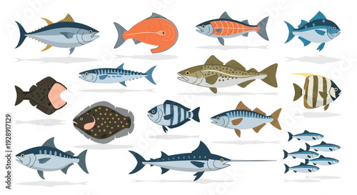Diverse Fish Collection: Tuna, Mackerel, Marlin, Flounder, Swordfish, Salmon