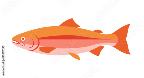 Illustration of a Fresh Salmon Fish