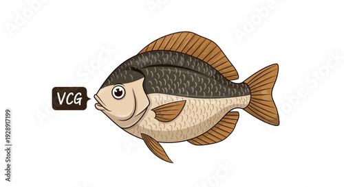 Illustration of a freshwater crucian carp fish with VCG label