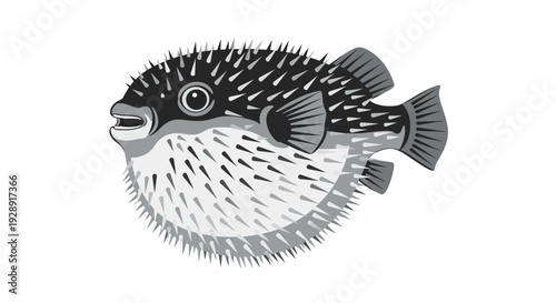 Pufferfish illustration, spiky marine animal, cute cartoon style, isolated on white