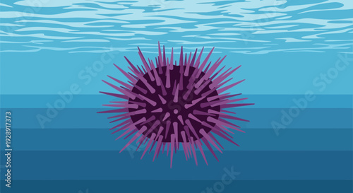 Purple Sea Urchin Floating Underwater with Rippling Water Surface