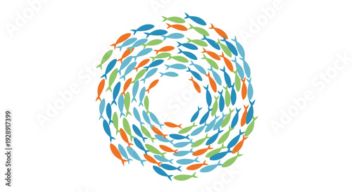 School of Colorful Fish Swimming in a Circle