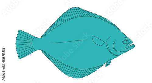 Single Teal Flounder Fish Illustration on White Background