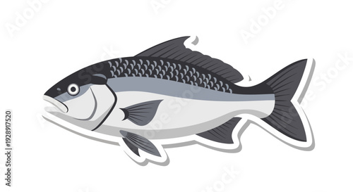 Stylized Fish Illustration