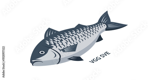 Stylized Fish Illustration, Seafood, Marine Life, Aquatic Animal