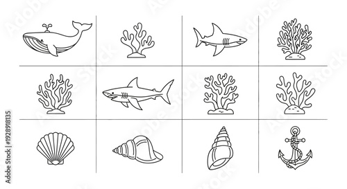 Ocean Life Icons: Whale, Sharks, Coral, Shells, Anchor - Line Art