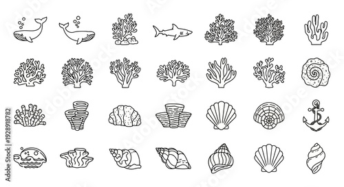 Ocean Life Icons: Whales, Shark, Corals, Shells, Anchor - Line Art