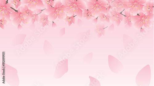 桜　春　風景　背景　