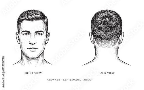 gentleman's crew cut haircut featuring front and back profiles.