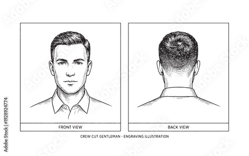 gentleman's crew cut haircut featuring front and back profiles.