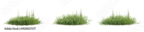 Cuadro en lienzo Lush green wild grass patches isolated on transparent background 3d rendering pn