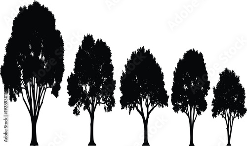 Black Silhouette Vector Illustration of a Group of Different Species and Shapes of Trees Standing in a Row Isolated