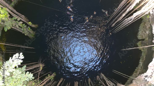 People swimming in Cenote Ik Kil near Chichen Itza in Mexico