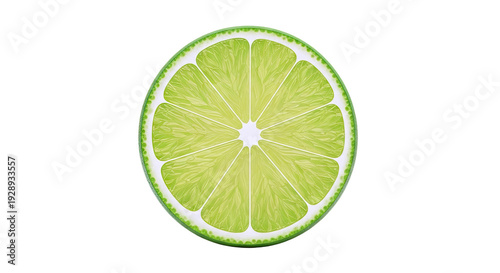 Close-up of a Lime Slice
