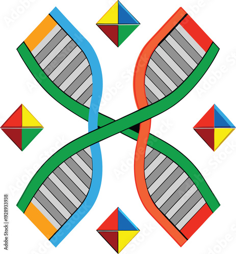 Colorful intertwined d n a strands with triangles helix vector illustration