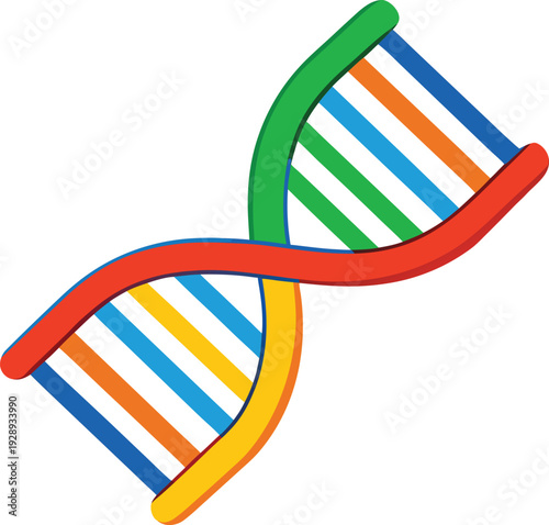 Colorful d n a double helix structure with rainbow stripes vector illustration