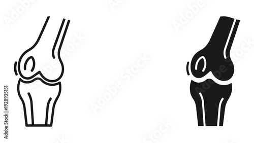 Anatomical knee joint illustrations for medical education and healthcare