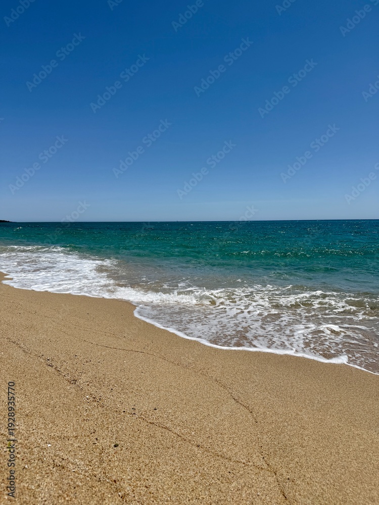 Obraz premium waves on the beach