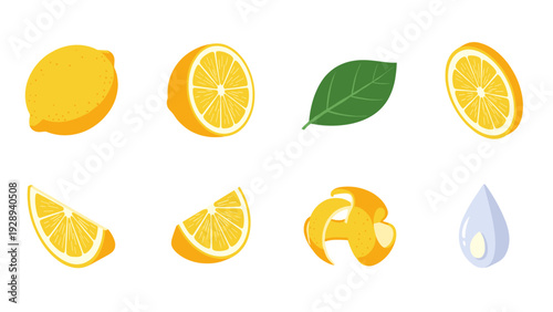 set of hand drawn lemon fruit pieces slices leaf peel and drop illustration