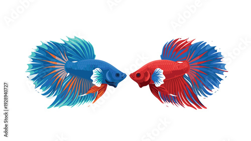 two colorful betta fish facing each other hand drawn aquarium pet illustration