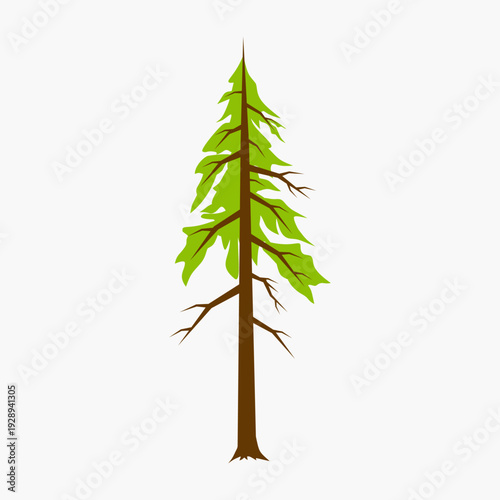 Fotografie Dead or dry pine tree icon