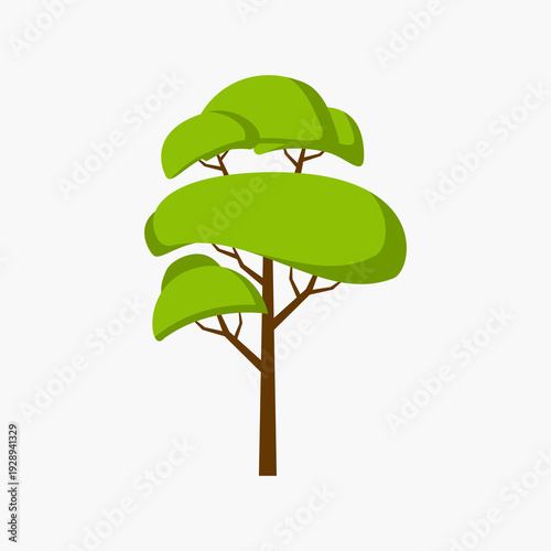 Layered foliage park tree