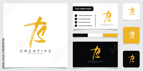 TS initial handwriting logo vector template