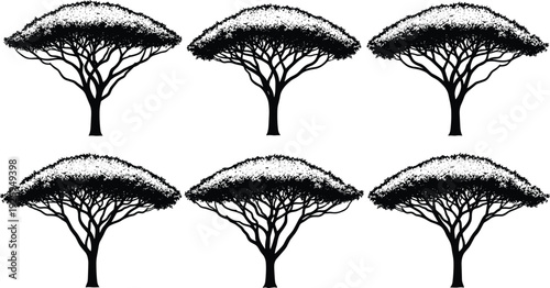 Acacia tree silhouettes collection, African savanna umbrella trees set, isolated black botanical vectors, safari landscape elements, nature illustration pack