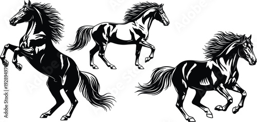 Black and White Running Horse Silhouette Vector Set with Rearing and Galloping Stallions