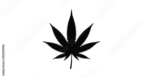 Detailed black marijuana leaf design sharply cut and visually striking silhouette