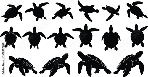 Black sea turtle silhouettes set featuring various swimming poses and land crawling positions isolated on white background for marine wildlife design