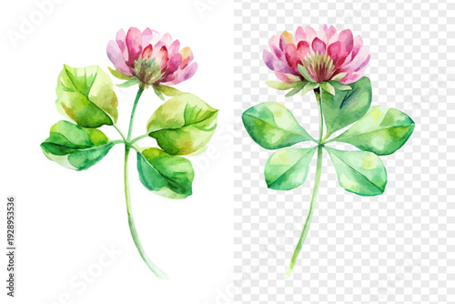 Watercolor Zigzag Clover Flower Illustration, Unique Botanical Clipart, vector isolated on white background