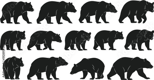 Bear silhouette icon set, walking and standing bear poses, wild animal collection, nature wildlife symbols, black vector illustration