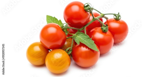 Fresh red and yellow cherry tomatoes on the vine, isolated on a white background.