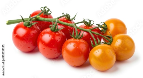 Fresh red and yellow cherry tomatoes on the vine with water drops, isolated on white.