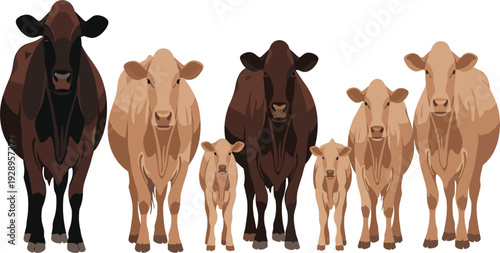 Herd of Brown Cows and Calves Front View Realistic Farm Livestock Vector Illustration Collection