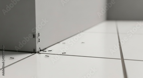 Ants crawling on a white tiled floor and wall corner, indicating a common household pest problem.
