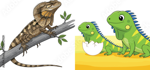 Realistic Frilled Lizard on Branch and Cute Baby Iguana Hatching from Egg Reptile Vector Illustration Set