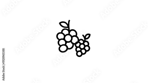 icon motion graphic juicy grapes