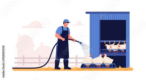 Farmer Washing Chickens Near Coop With Hose.
