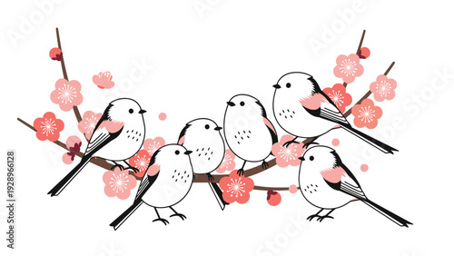 Group of cute white birds perched together on a flowering plum branch with many pink blossoms and flower buds.