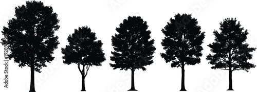 Black silhouette illustration of five deciduous trees with varied branching patterns and foliage density, representing forestry, botany, landscape design, and decorative purposes