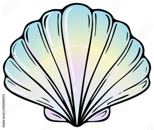 Beautiful iridescent seashell illustration with dark outlines evokes coastal vibes and summer memories